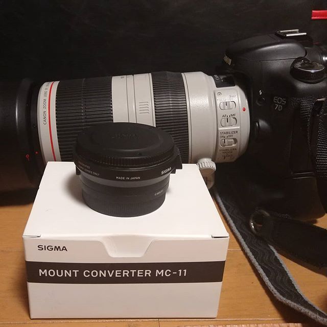 新しいカメラ、CanonにするかSonyにするか悩み中とりあえず、SigmaのMC-11と借り物のα6500で遊んでみる予定#a6500  #eos7d #mc11