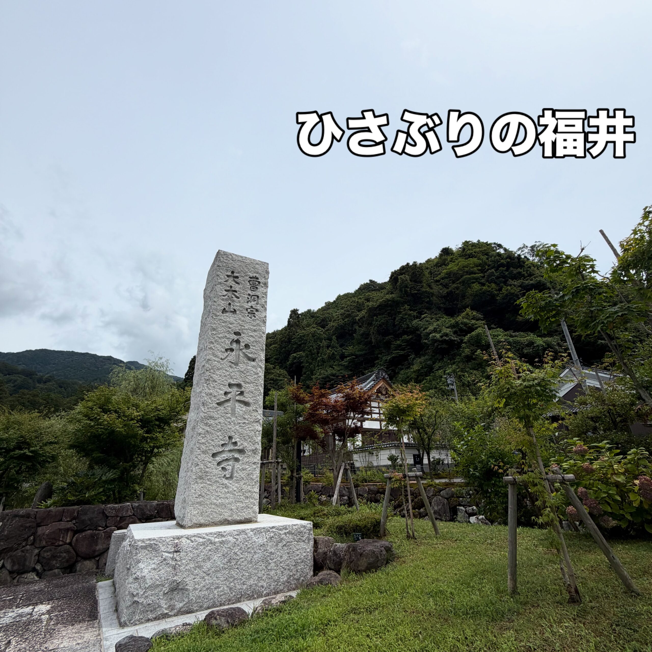数年ぶりに夏の福井#永平寺 は初めて来てみました